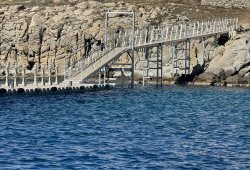 &Pi;&lambda;&omega;&tau;ή &epsilon;&xi;έ&delta;&rho;&alpha; &gamma;&iota;&alpha; &iota;&delta;&iota;ώ&tau;&eta; - 7